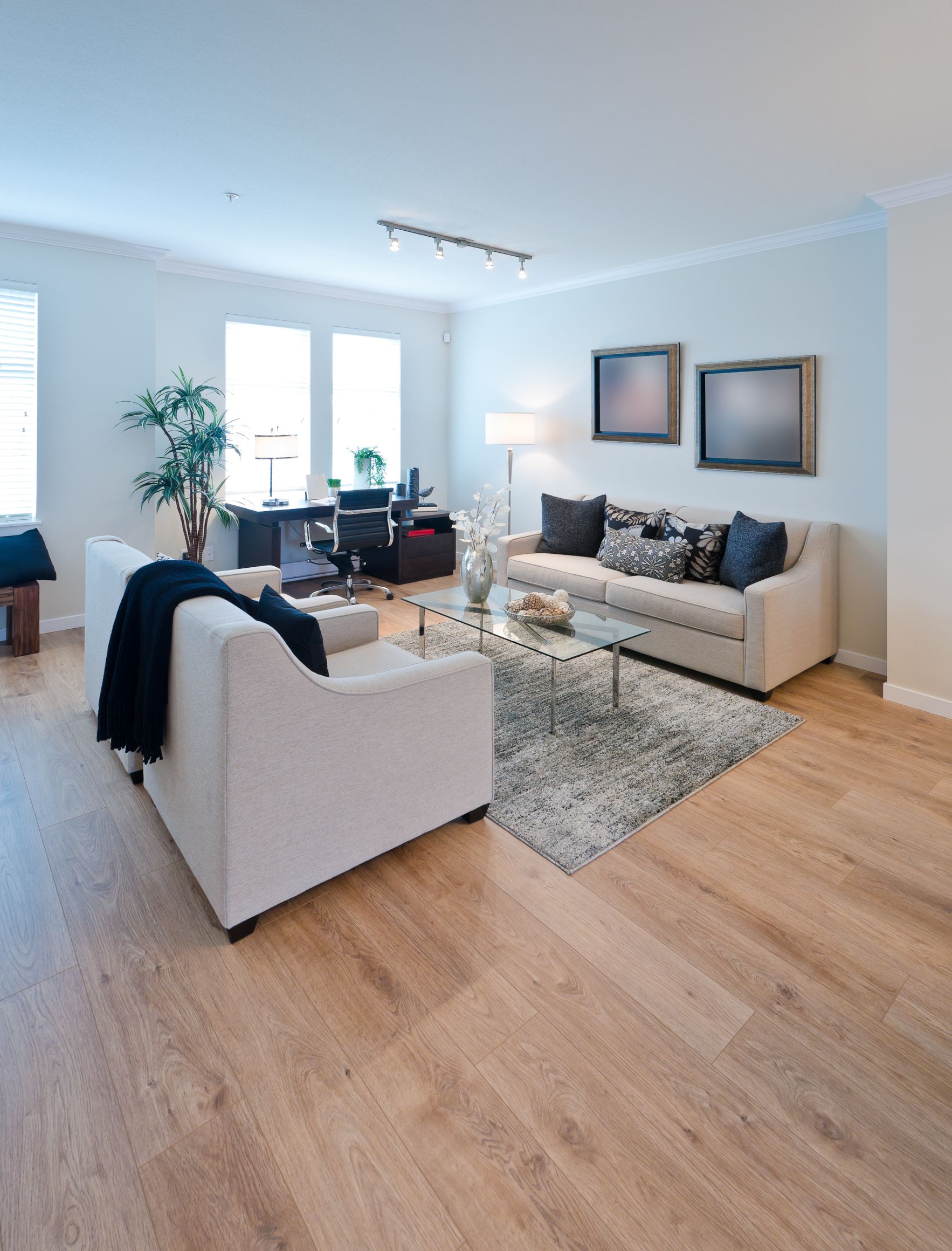 A living room with a couch , chair , coffee table and rug.