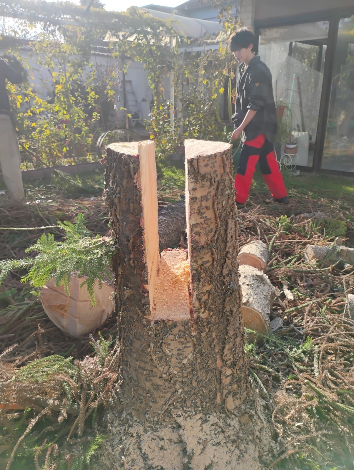 Un hombre está cortando un tocón de árbol con una motosierra.