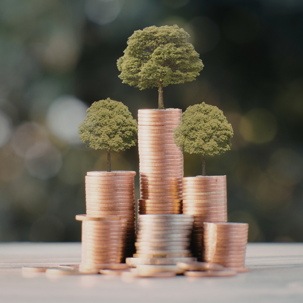 Small green trees growing out of three stacks of bronze coins on a table against a soft, out-of-focus background.