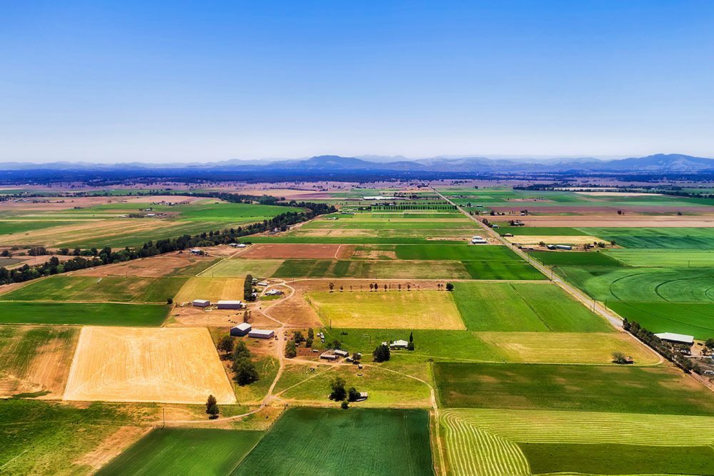 Farm Field — Windscreen Replacement in Singleton NSW