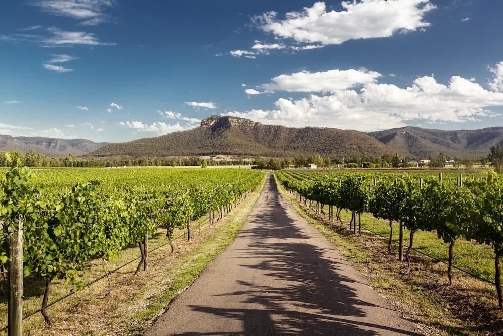 Vineyards — Windscreen Replacement in Cessnock NSW