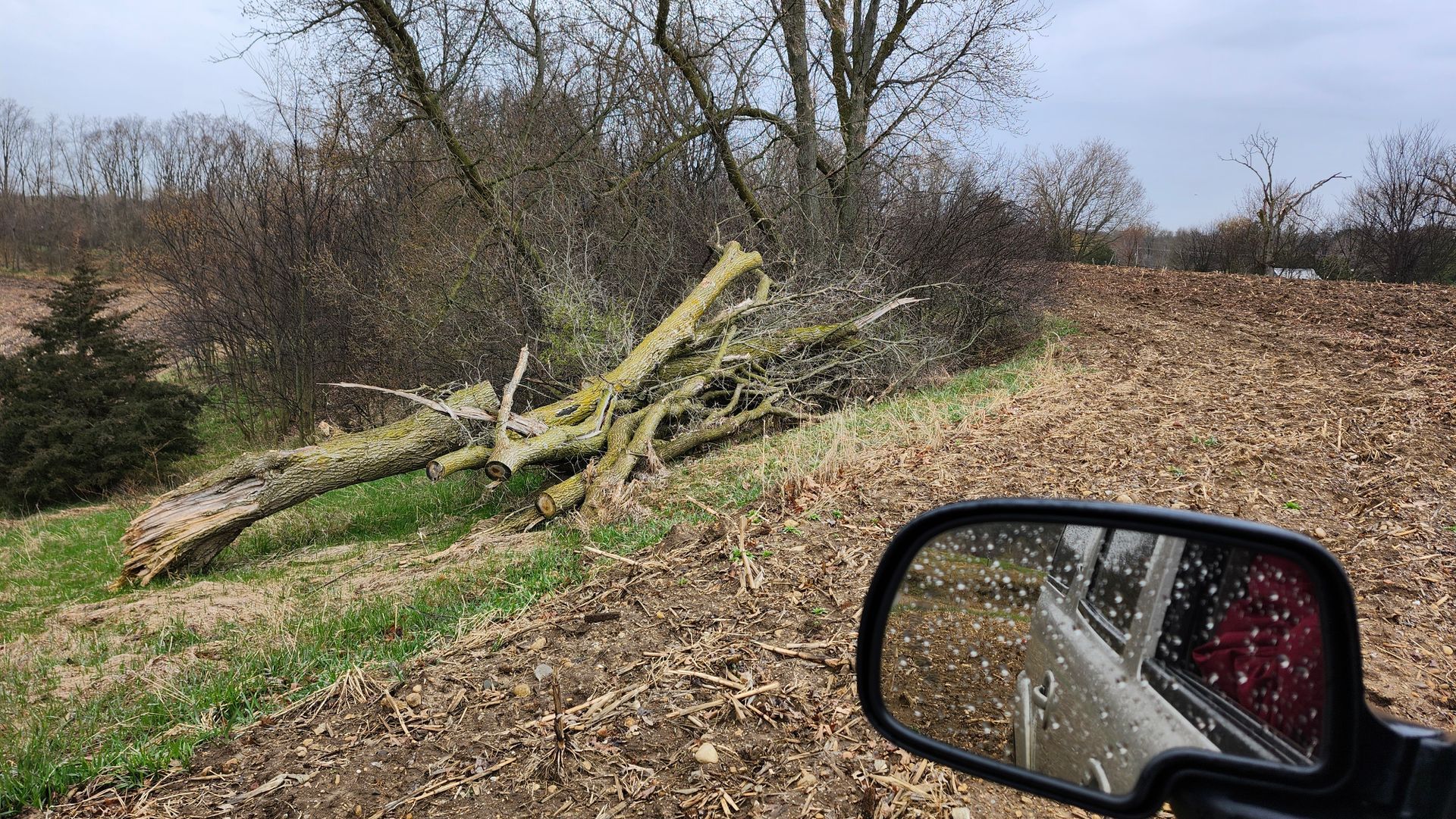 A car is driving down a dirt road next to a fallen tree.