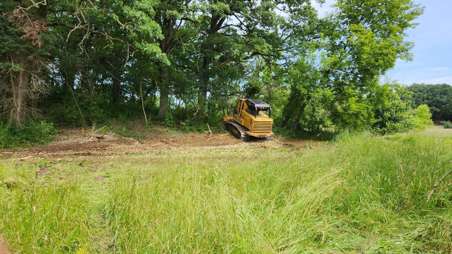 A yellow bulldozer is cutting down trees in a field.