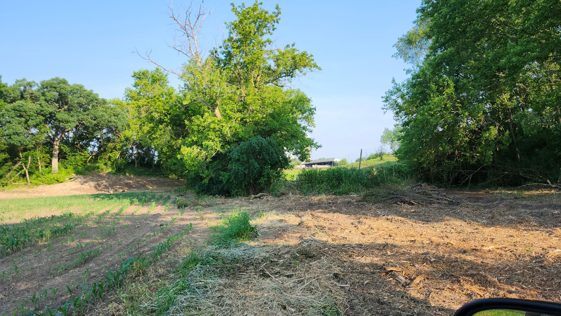 A rear view mirror shows a field with trees in the background.