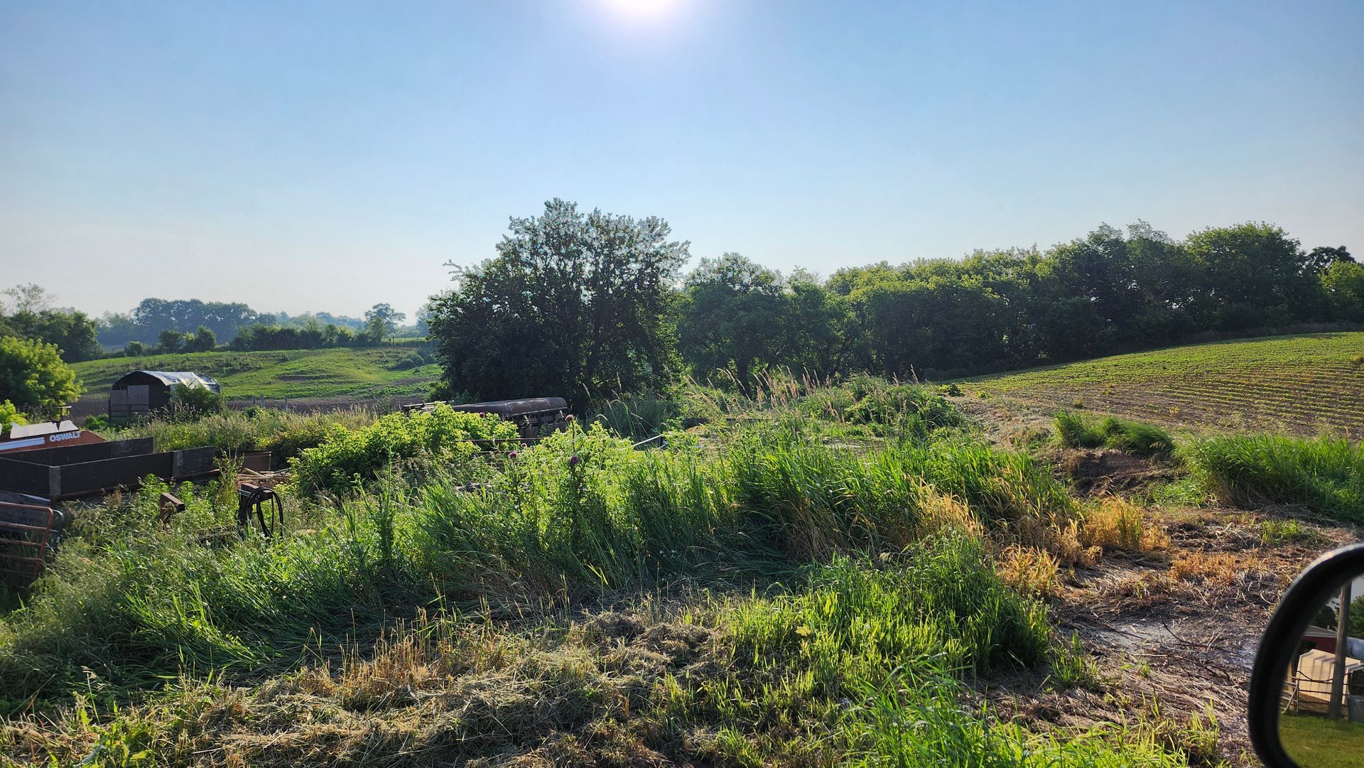 A view of a field from a motorcycle 's rear view mirror