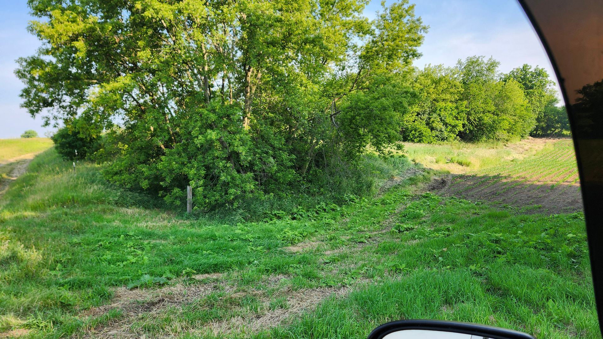 A rear view mirror shows a field of grass and trees.