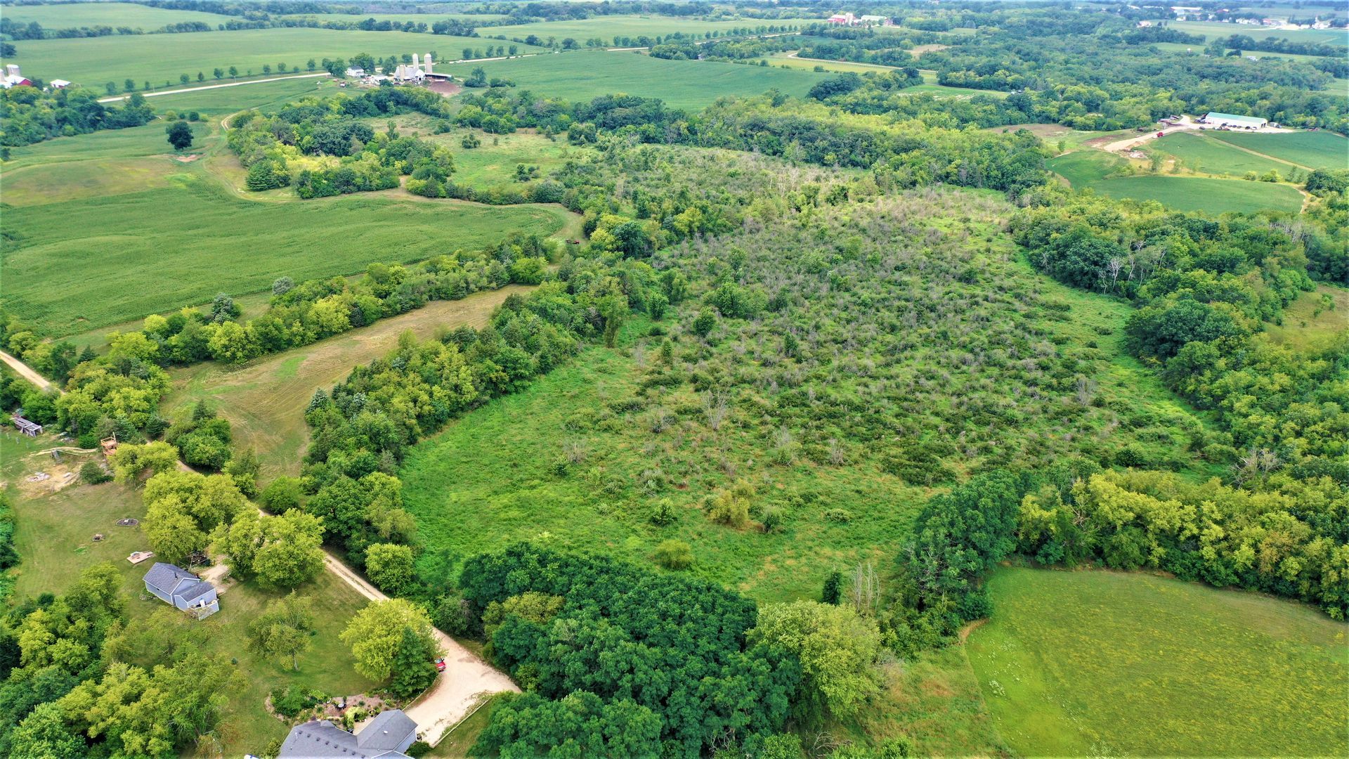 An aerial view of a lush green field filled with trees and grass.