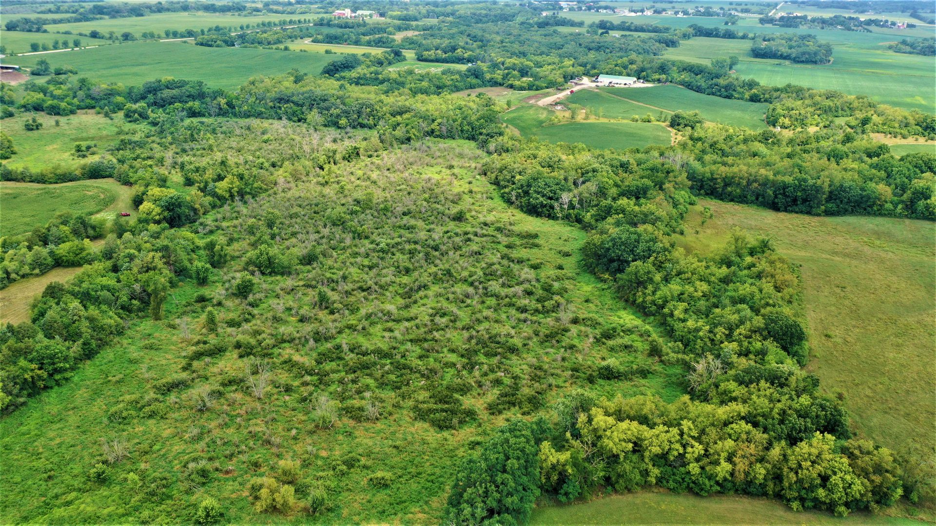 An aerial view of a lush green field filled with trees and grass.
