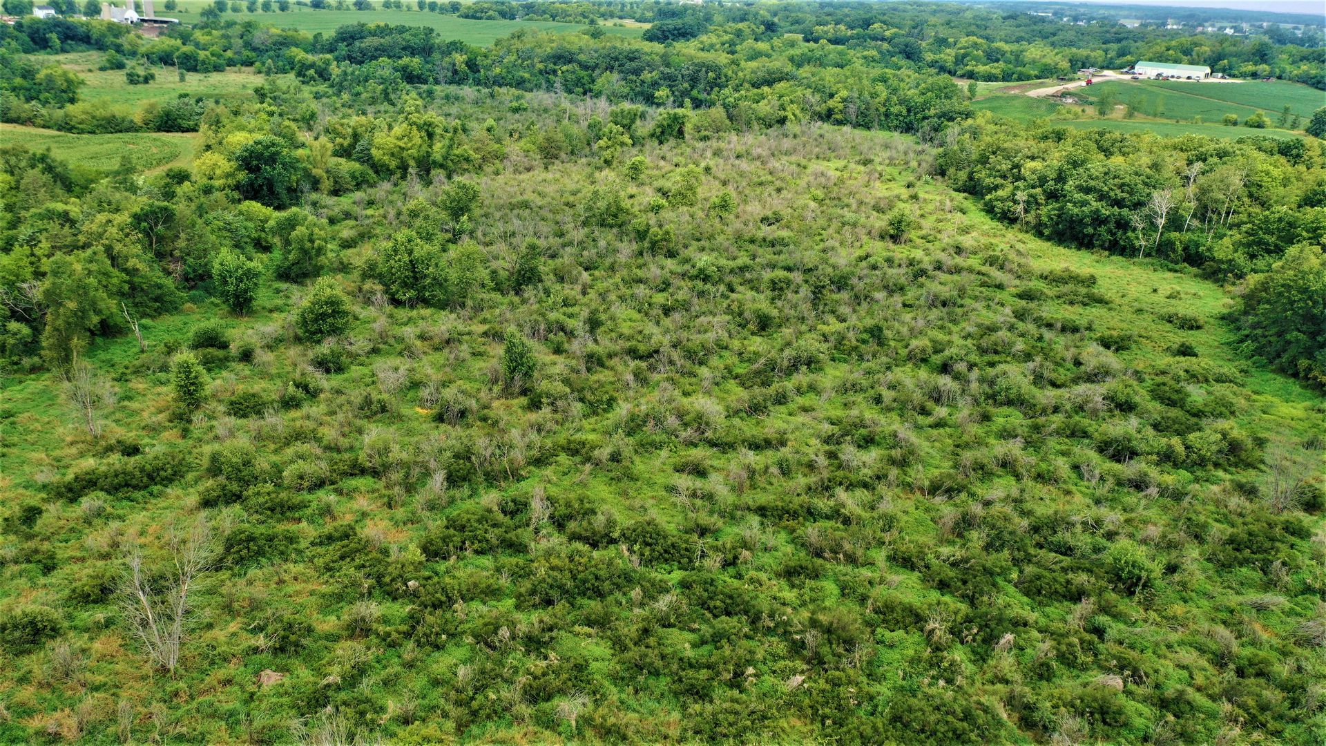 An aerial view of a lush green field filled with trees and grass.