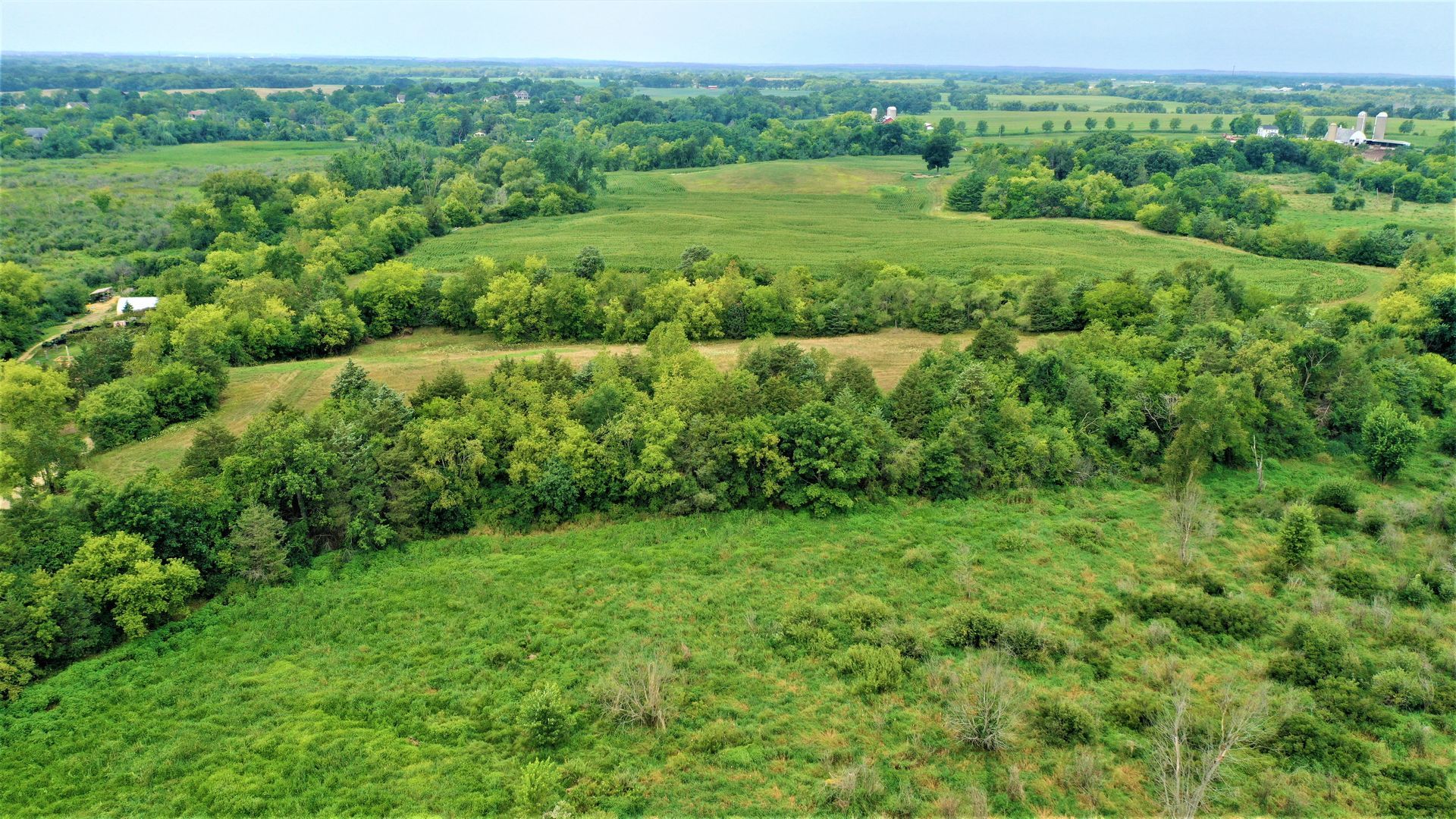 An aerial view of a lush green field surrounded by trees.
