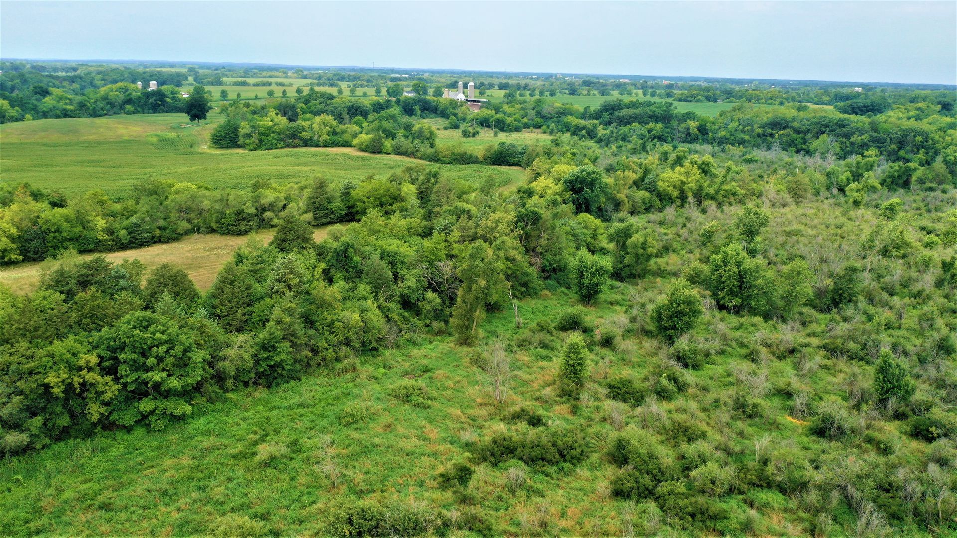 An aerial view of a lush green field with trees and grass.