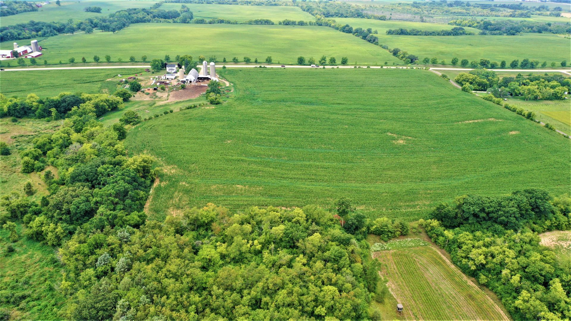 An aerial view of a large green field surrounded by trees.