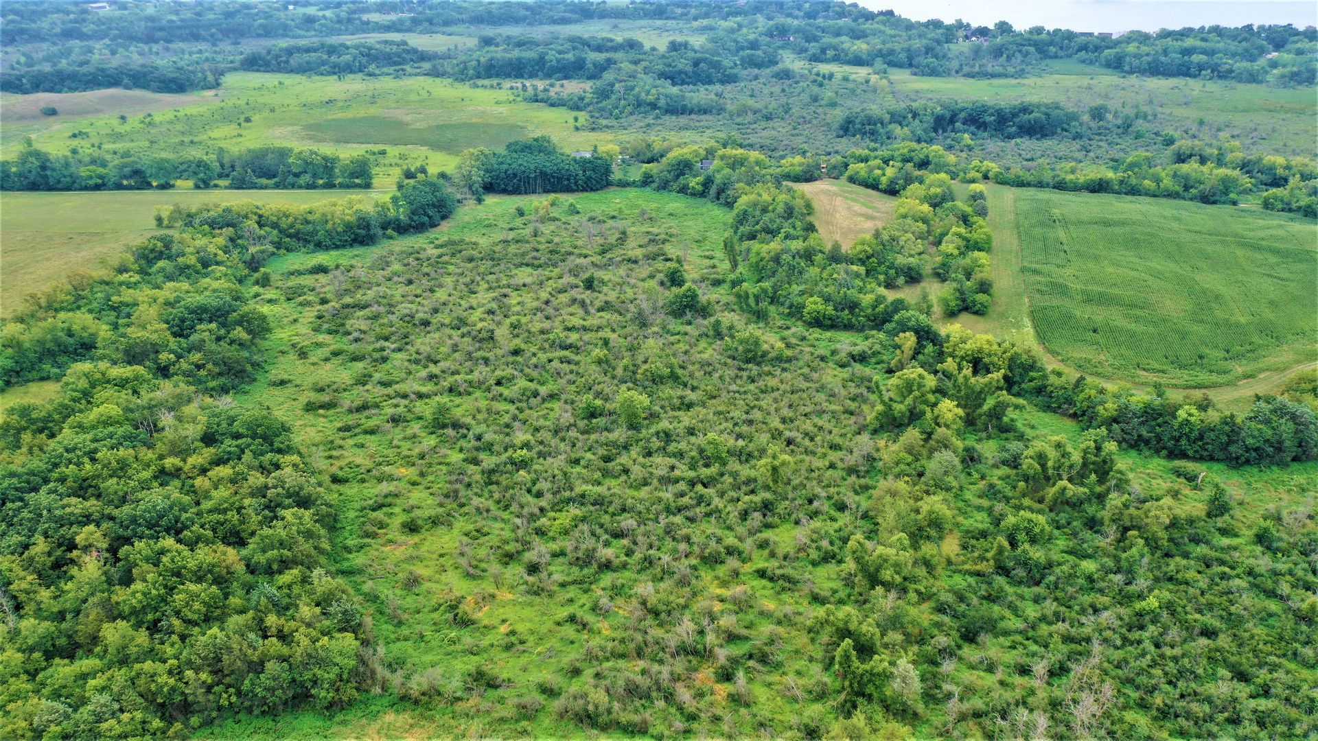 An aerial view of a lush green forest surrounded by fields.