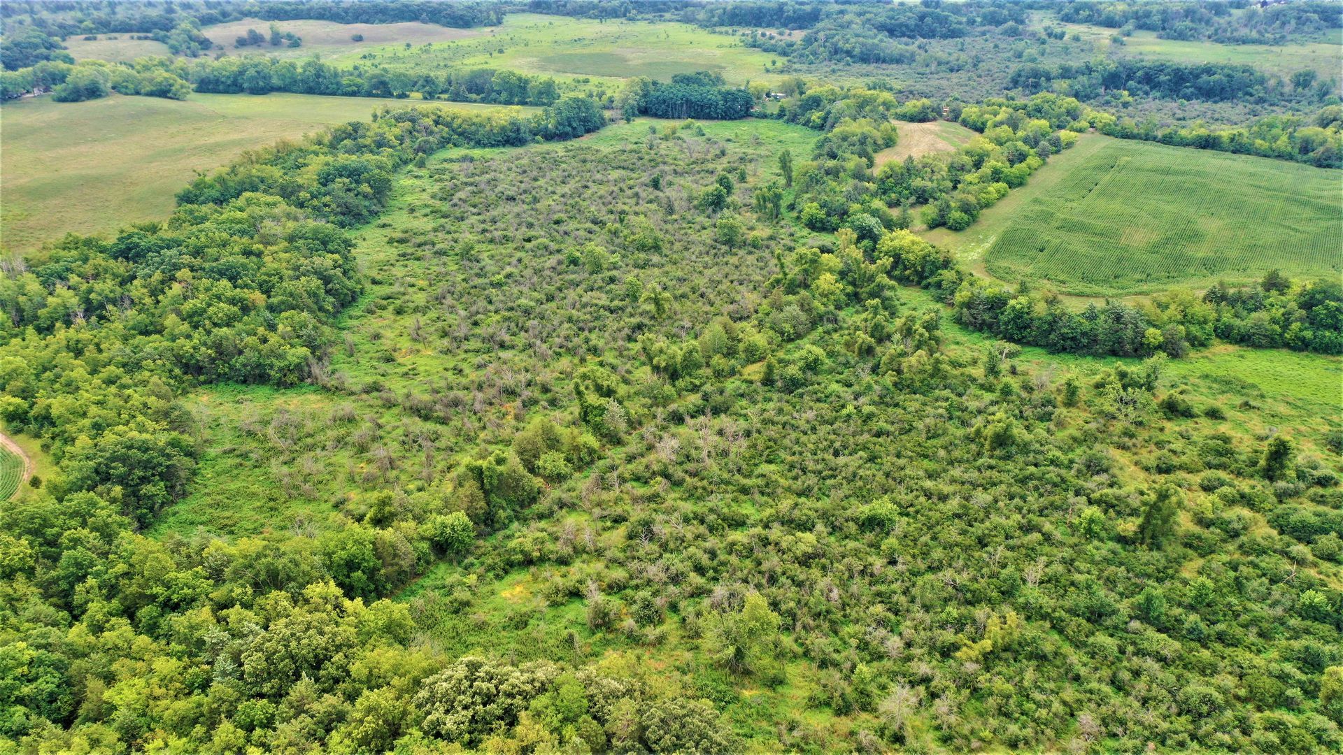 An aerial view of a lush green forest surrounded by fields.