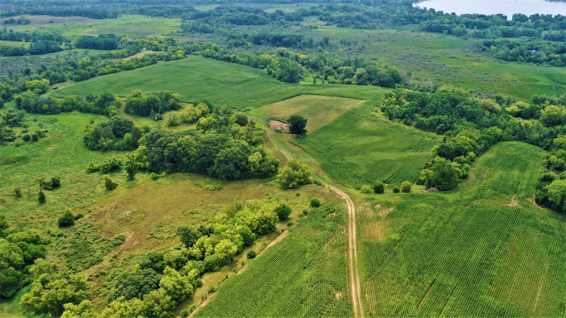 An aerial view of a lush green field with trees and a dirt road.