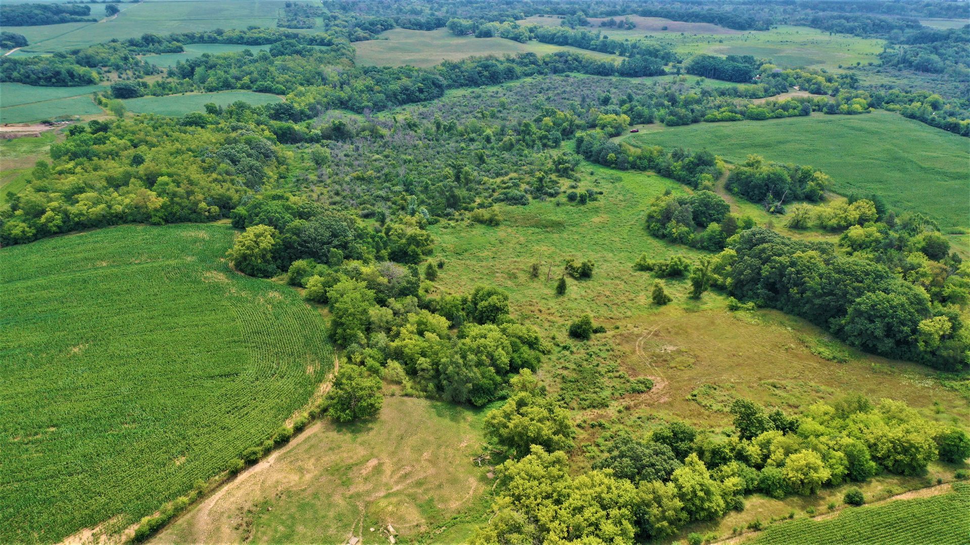 An aerial view of a lush green field filled with trees and fields.