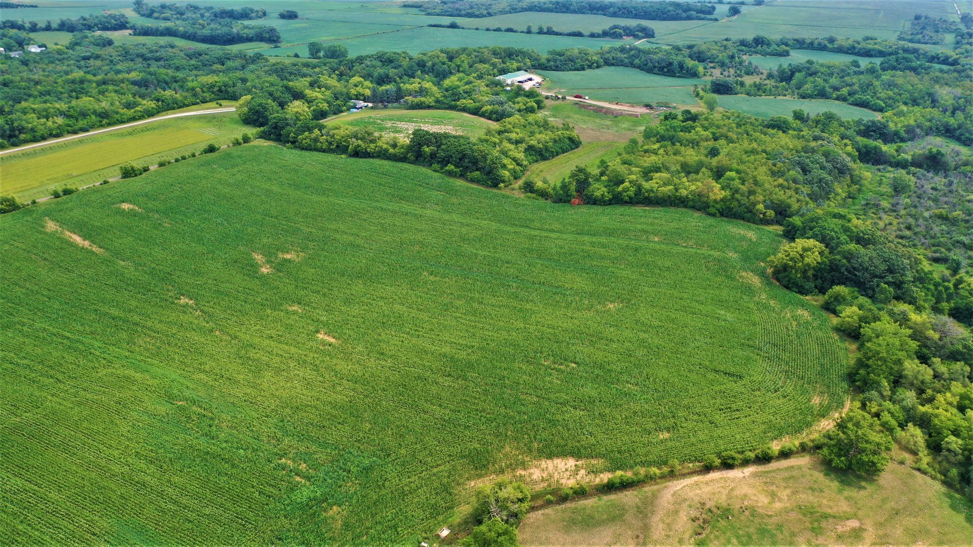 An aerial view of a large green field surrounded by trees.