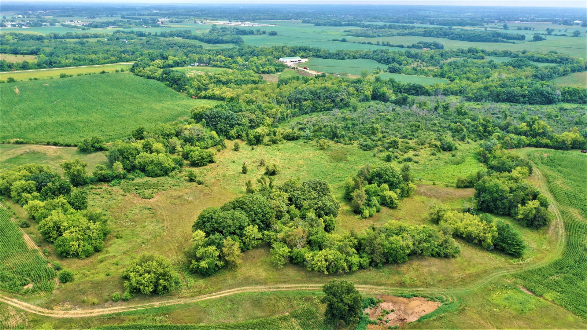 An aerial view of a lush green field filled with trees and grass.