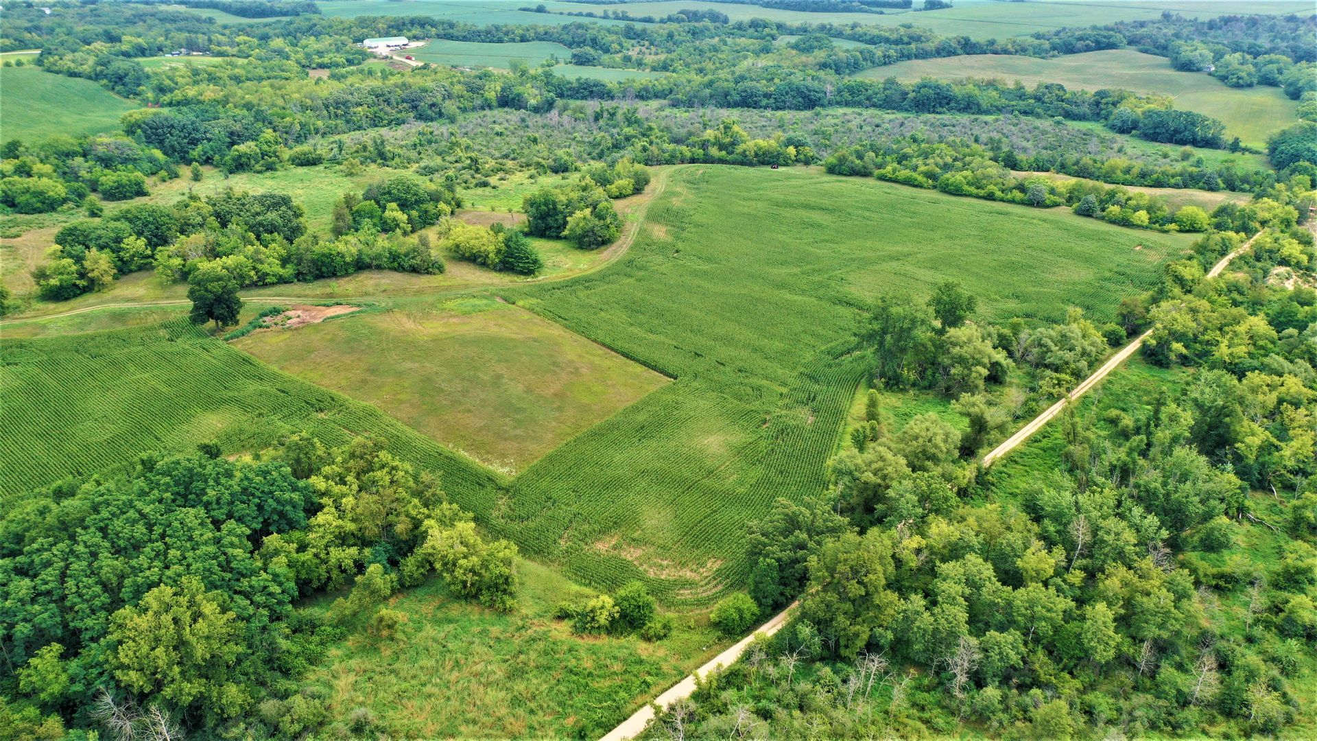 An aerial view of a lush green field surrounded by trees and a dirt road.