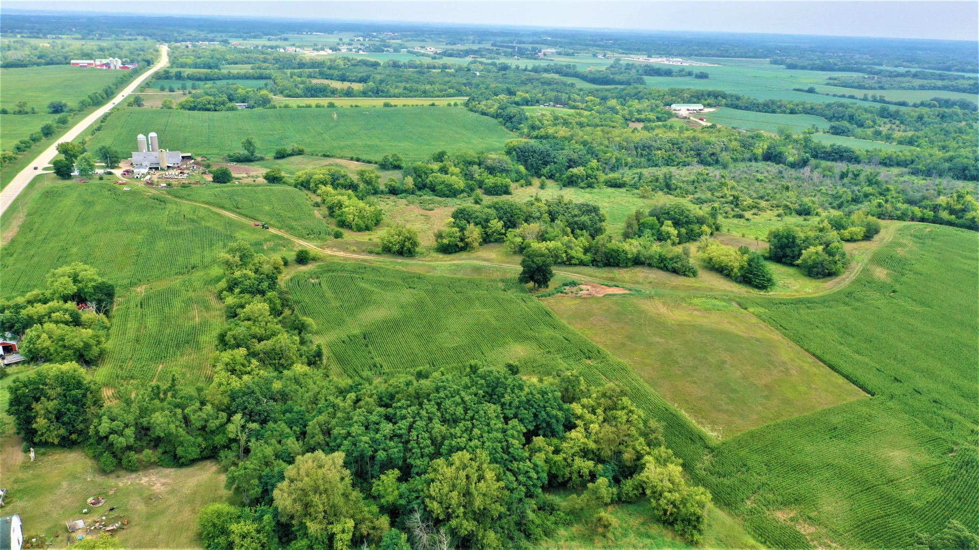 An aerial view of a lush green field with trees and a road.