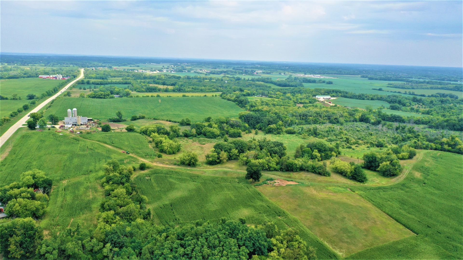 An aerial view of a lush green field with trees and a road.