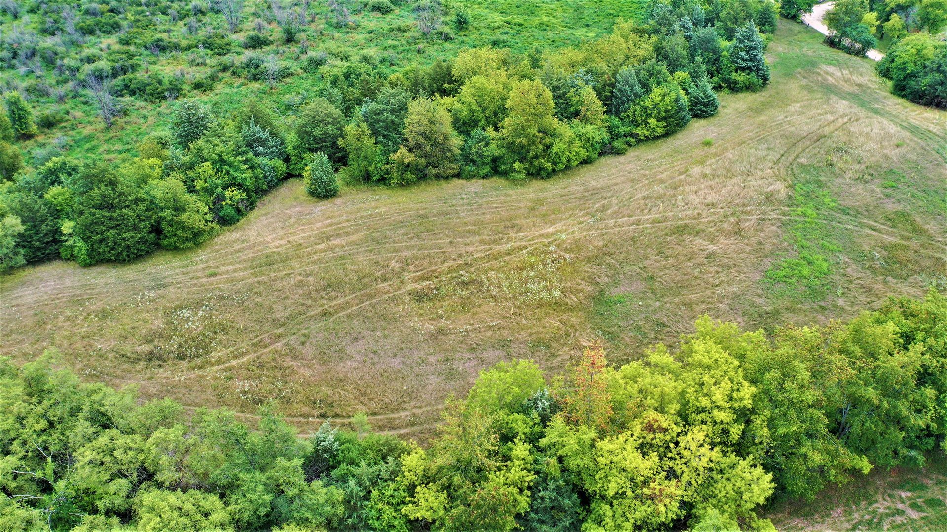 An aerial view of a field surrounded by trees and grass.