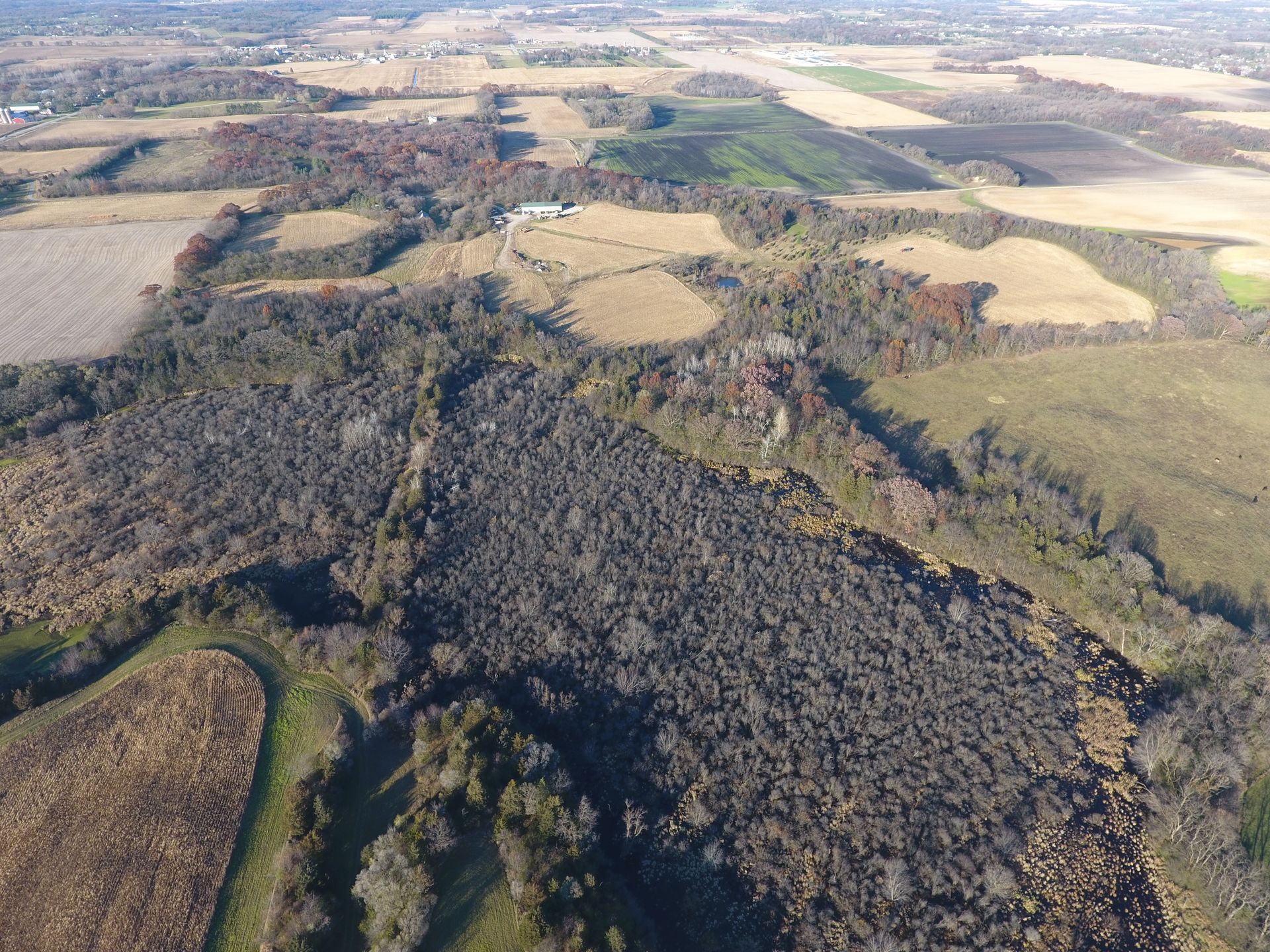 An aerial view of a lush green forest surrounded by fields.