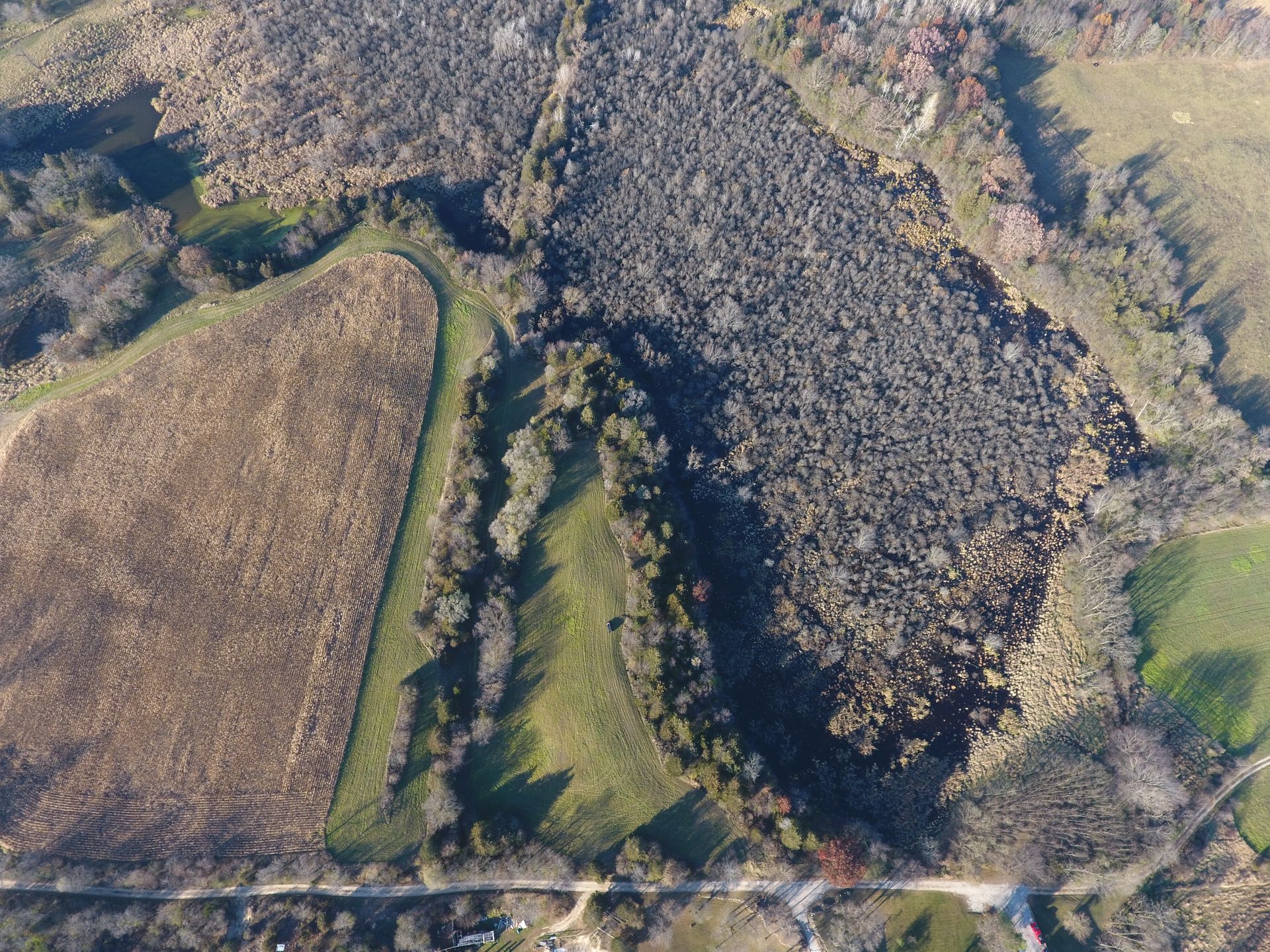 An aerial view of a field with trees and grass