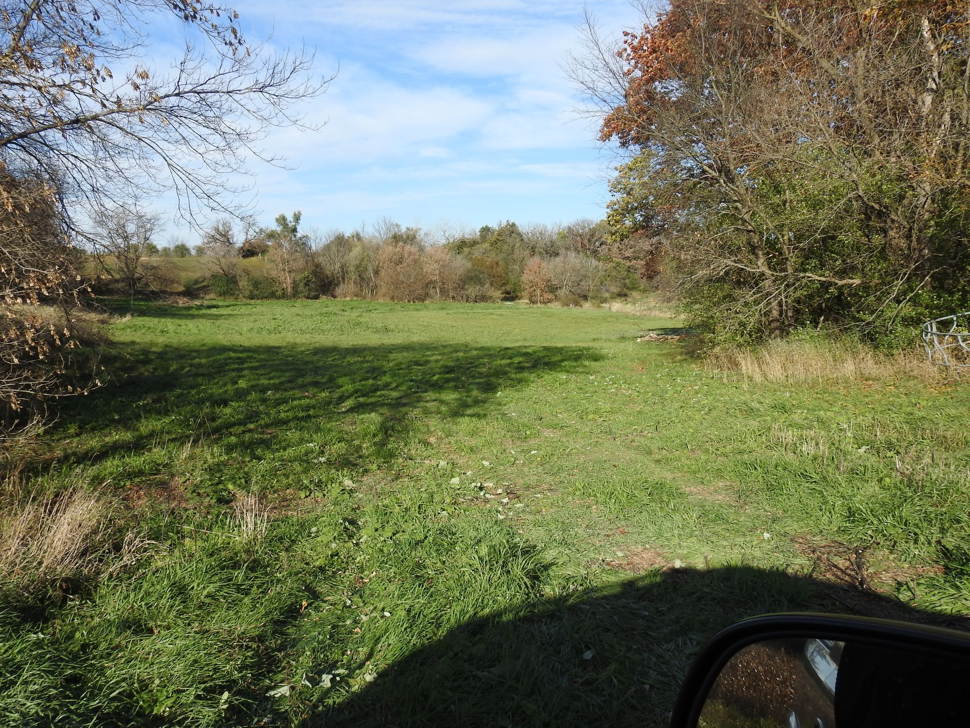 A car is driving through a grassy field with trees in the background.