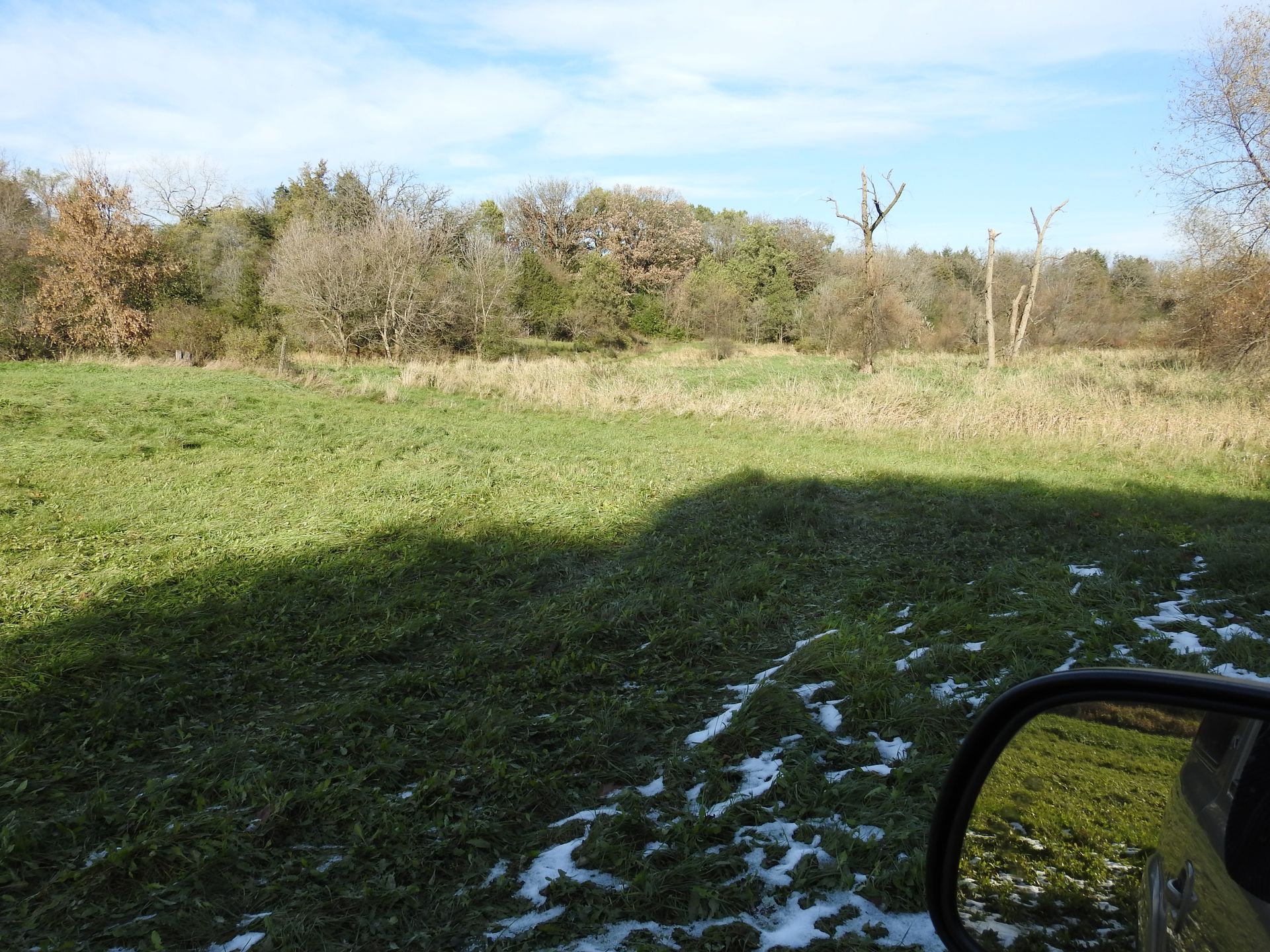 A rear view mirror shows a grassy field with trees in the background.