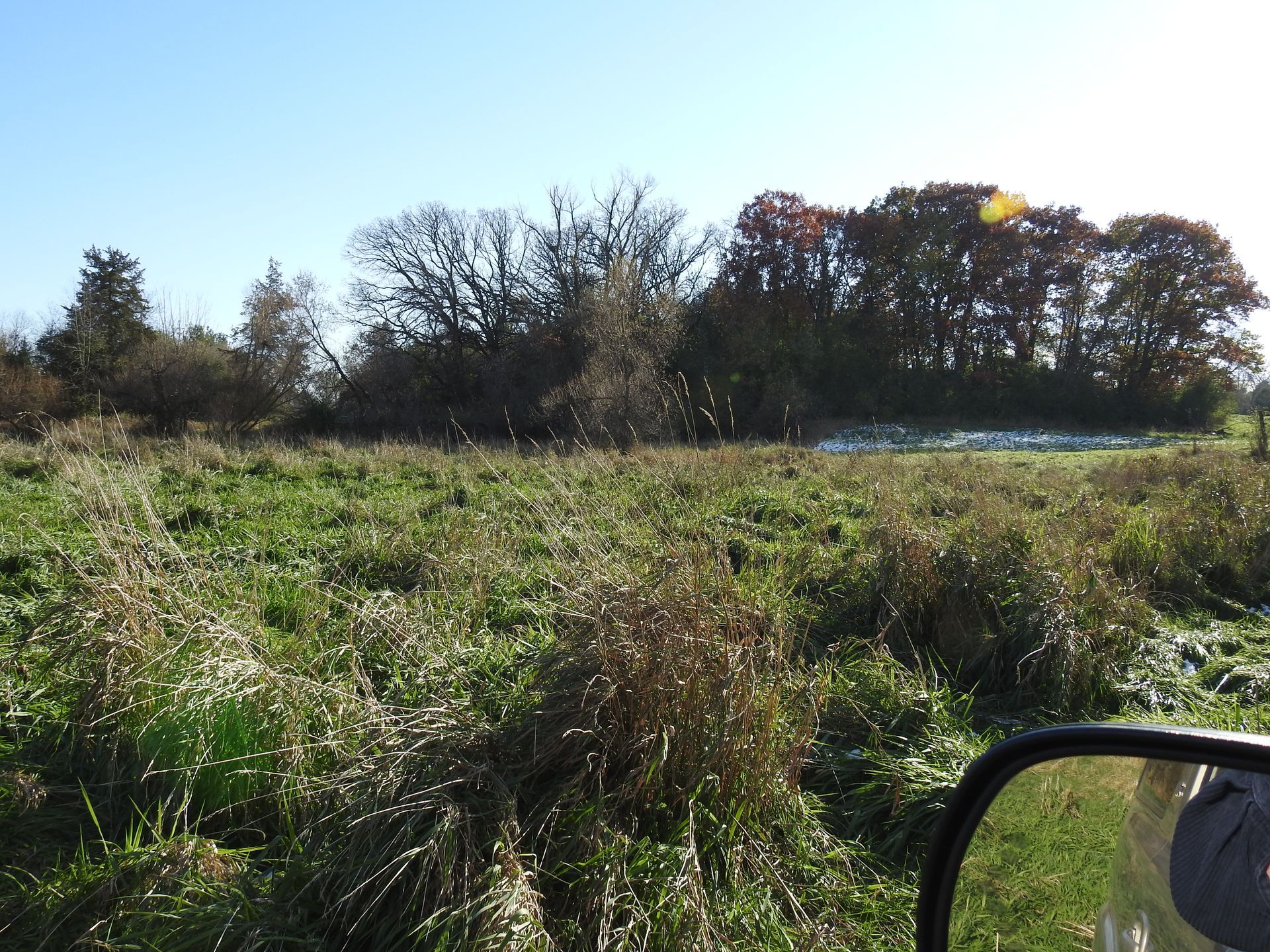 A rear view mirror shows a grassy field with trees in the background