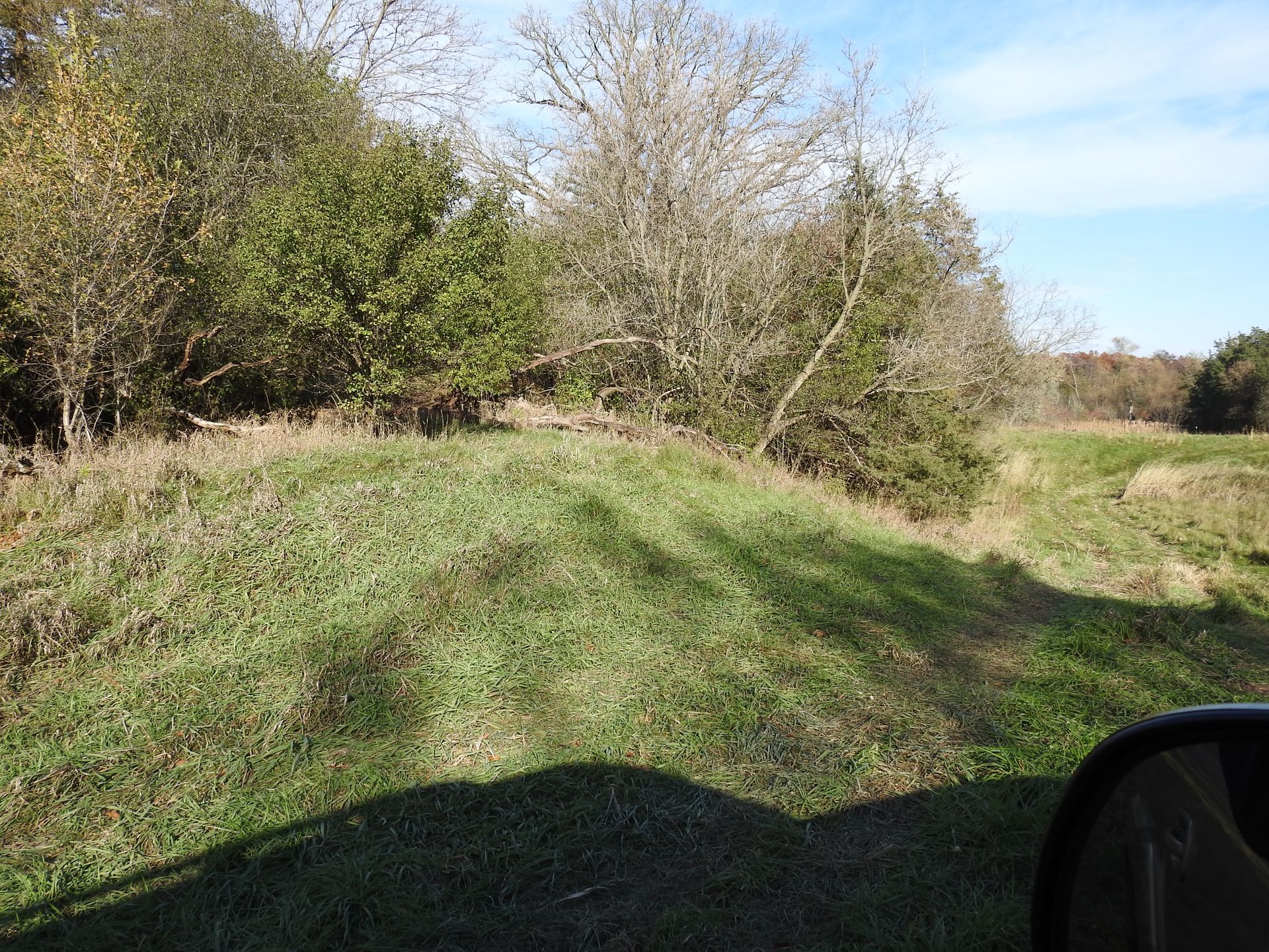 A shadow of a car is cast on a grassy field.