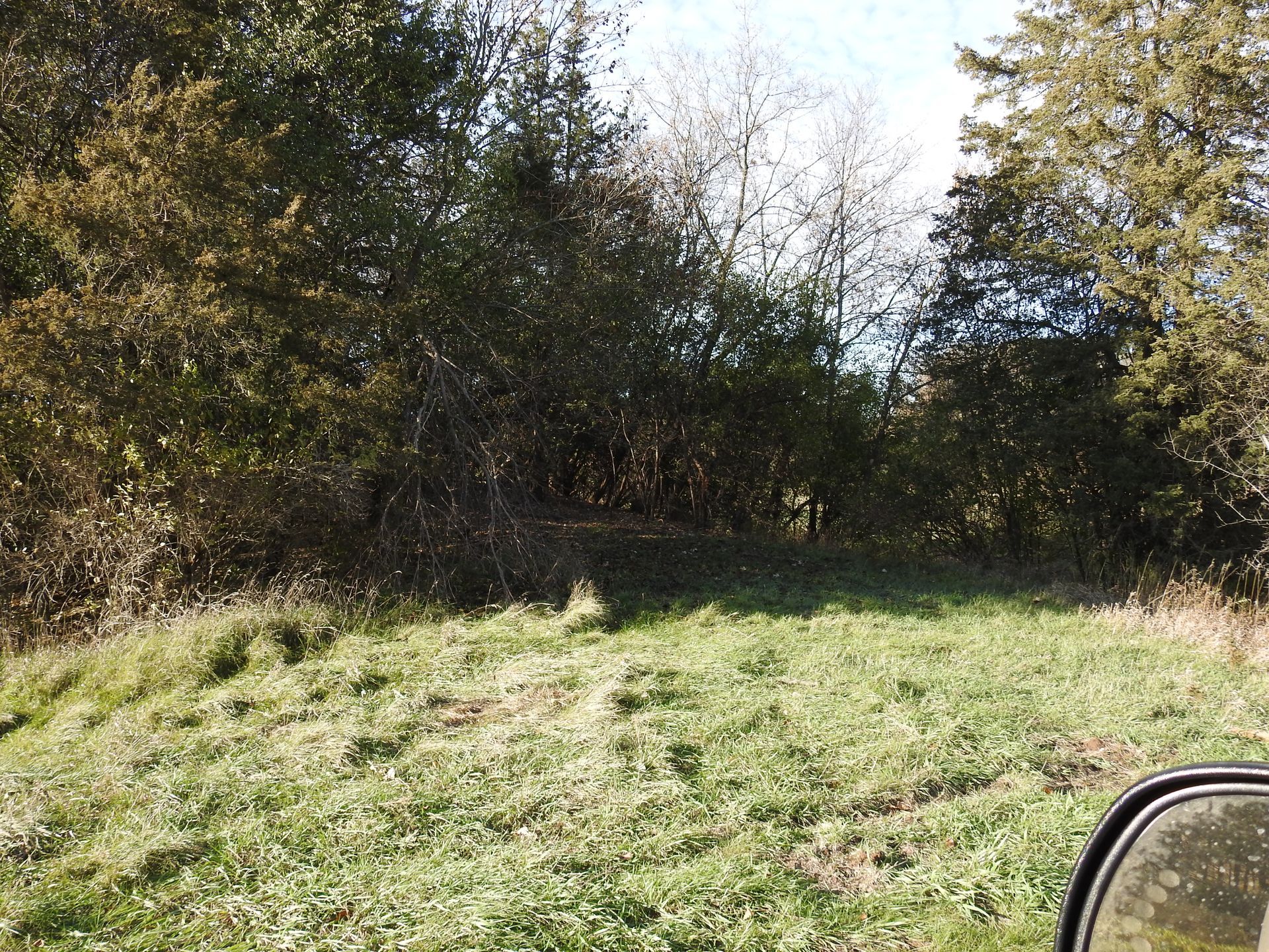 A rear view mirror shows a grassy field with trees in the background.