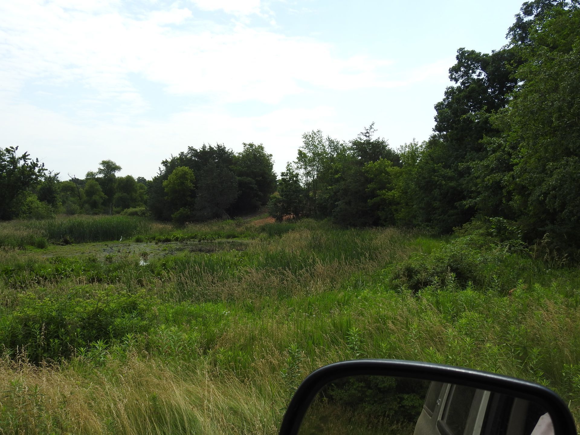 A rear view mirror shows a grassy field with trees in the background