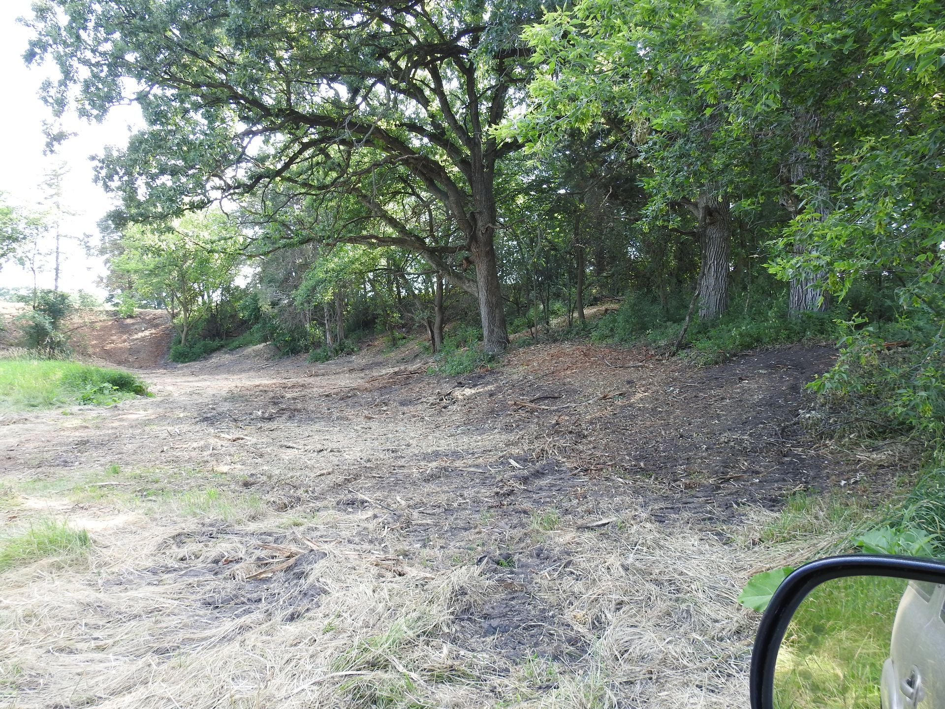 A rear view mirror shows a dirt road surrounded by trees.