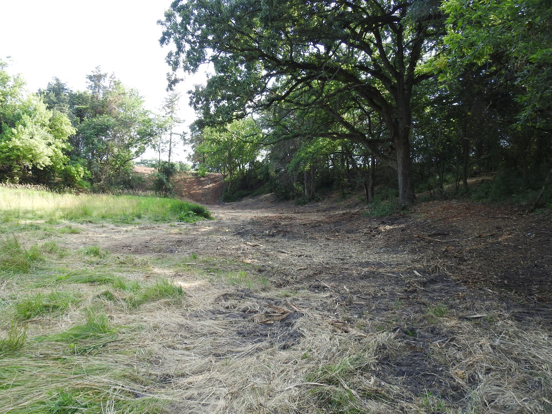 A dirt road going through a field with trees in the background