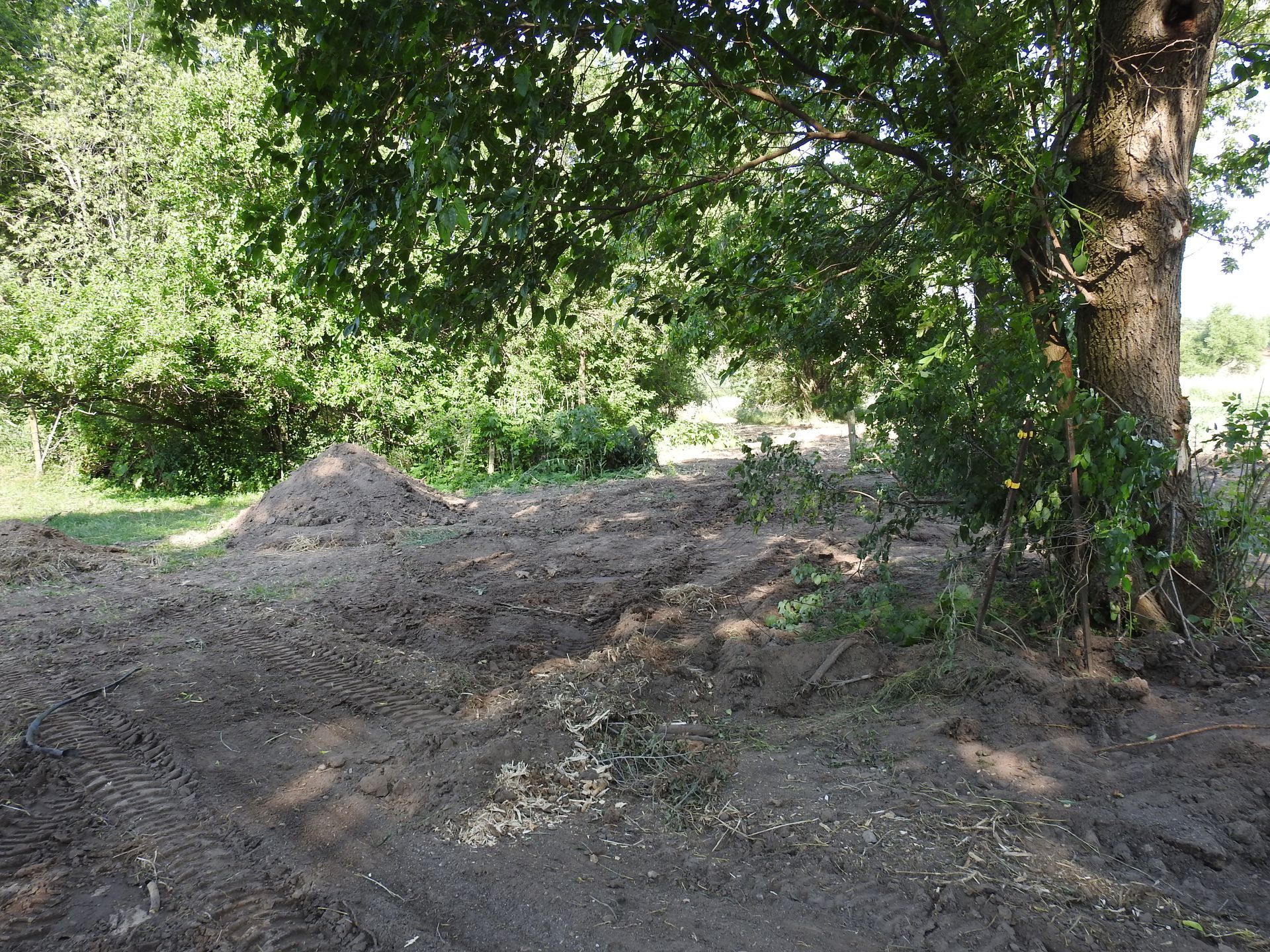 A pile of dirt is sitting under a tree in a field.