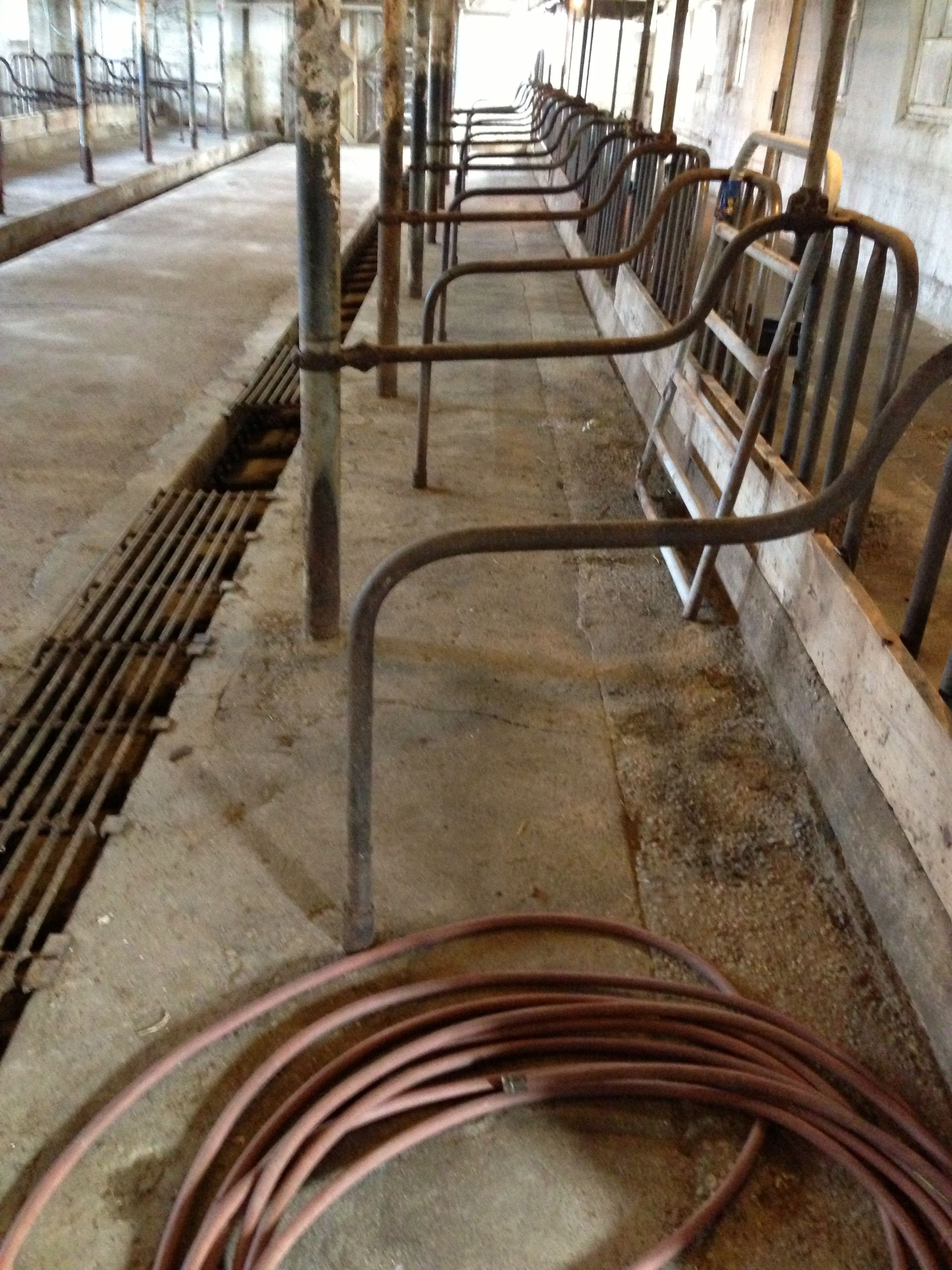 A hose is laying on the ground in a barn