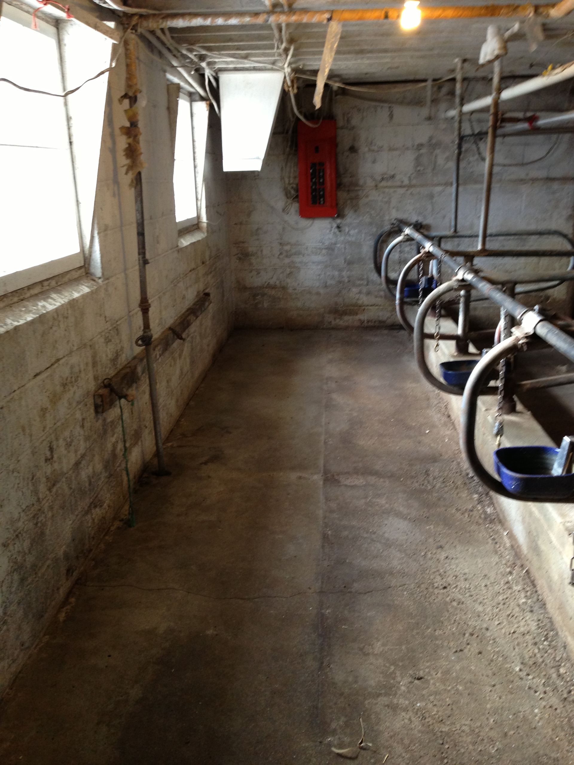 A room with a lot of windows and a red box on the wall