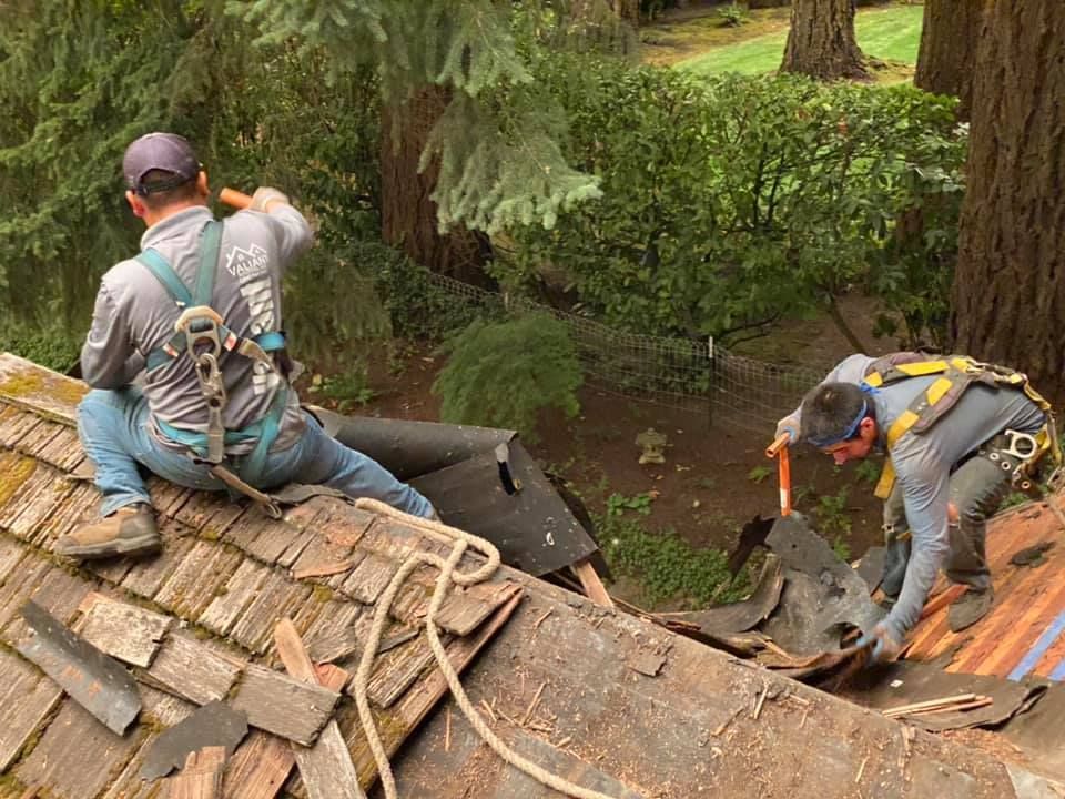 Two men are working on a roof in the woods.