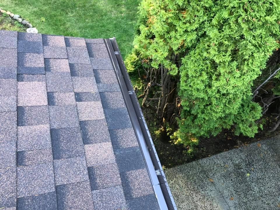 A roof with shingles and a gutter next to a tree.