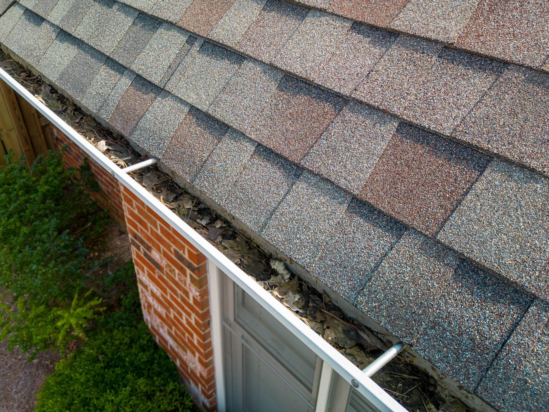 Roof with clogged gutter filled with debris next to a brick wall and bushes.