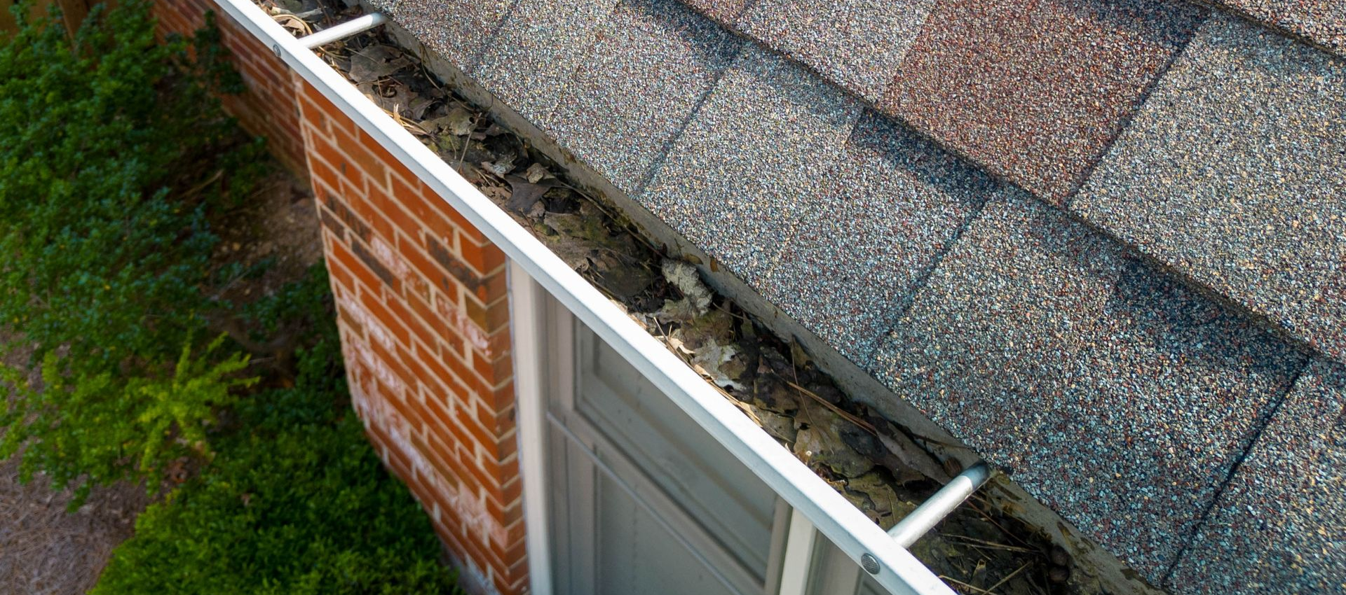 A gutter filled with debris next to a red brick wall and a roof with gray shingles.