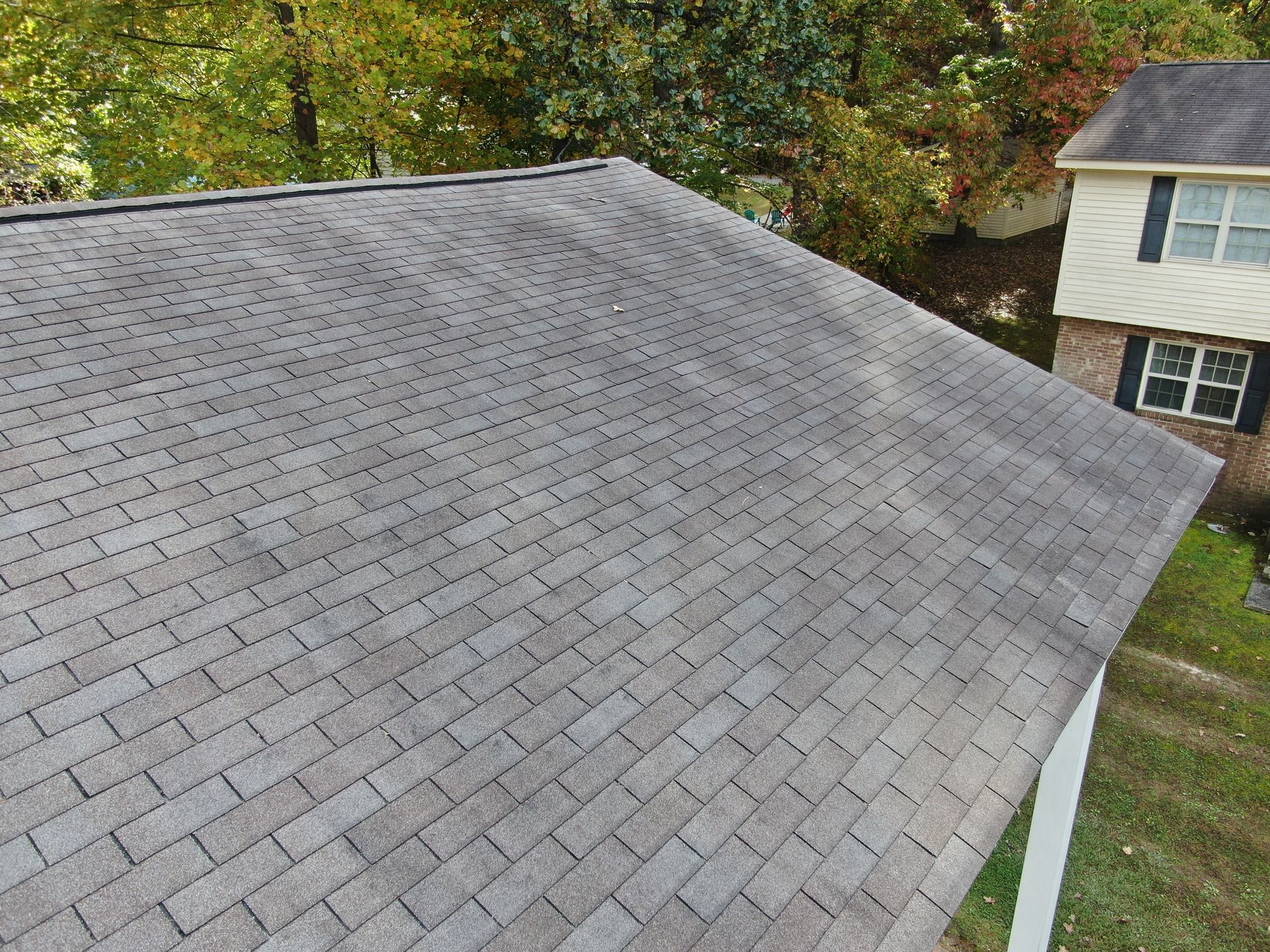 Gray shingle roof on a house with visible algae growth. Trees and part of another house are in the background.