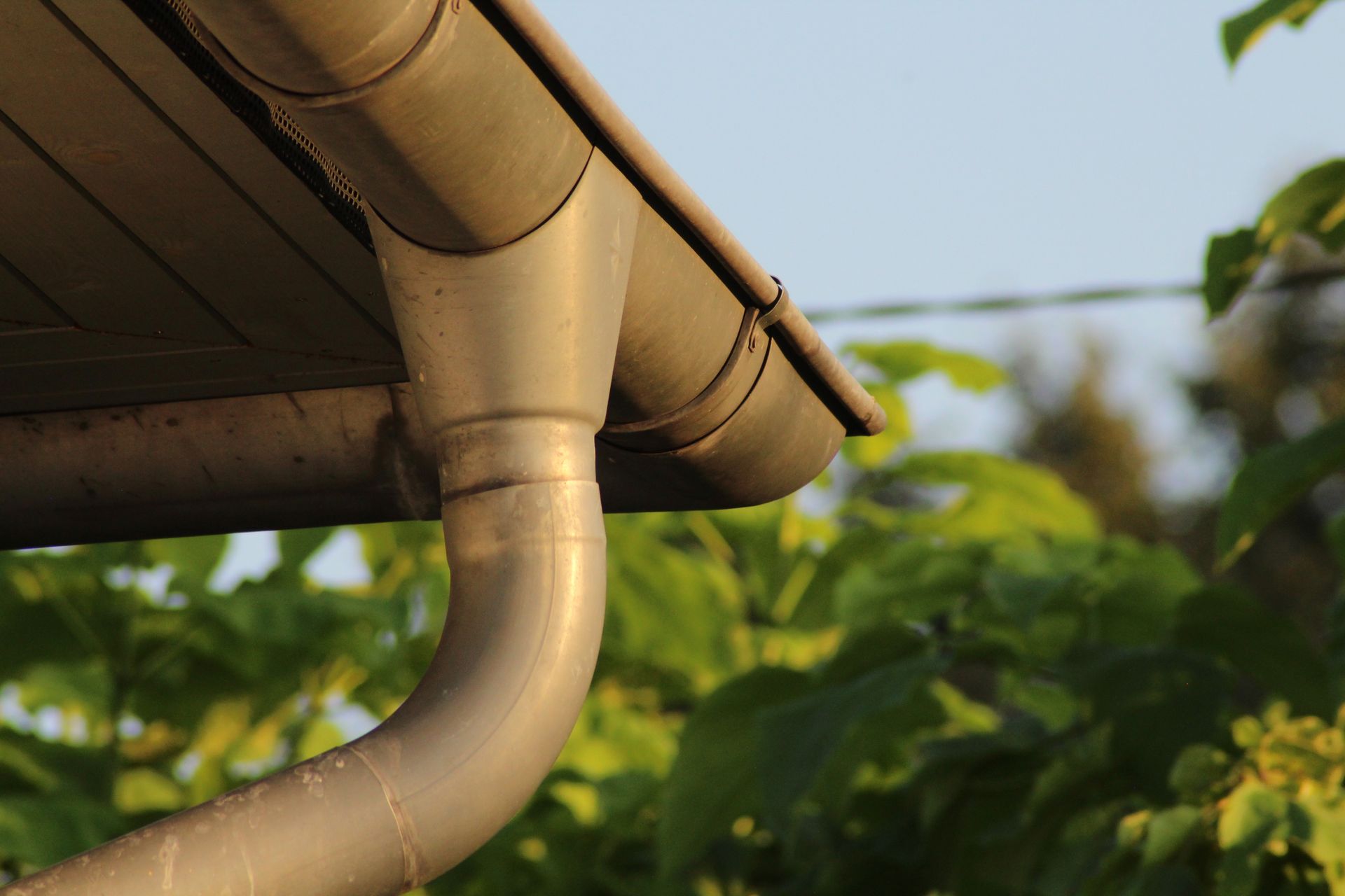 A close up of a gutter on a roof with trees in the background.