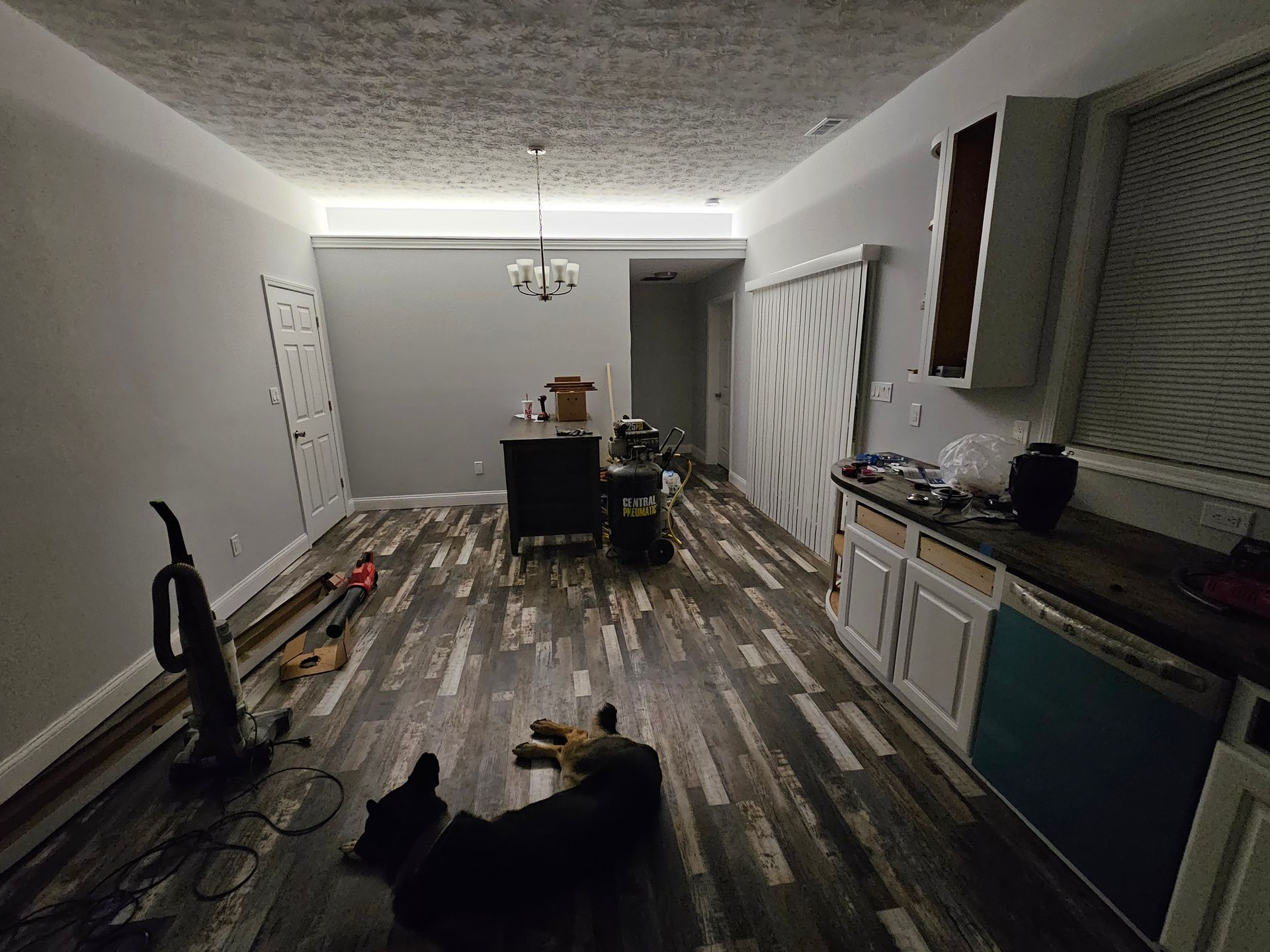 Renovated room interior with dark wood-look floor, gray walls, cabinetry, a dog, and various tools.