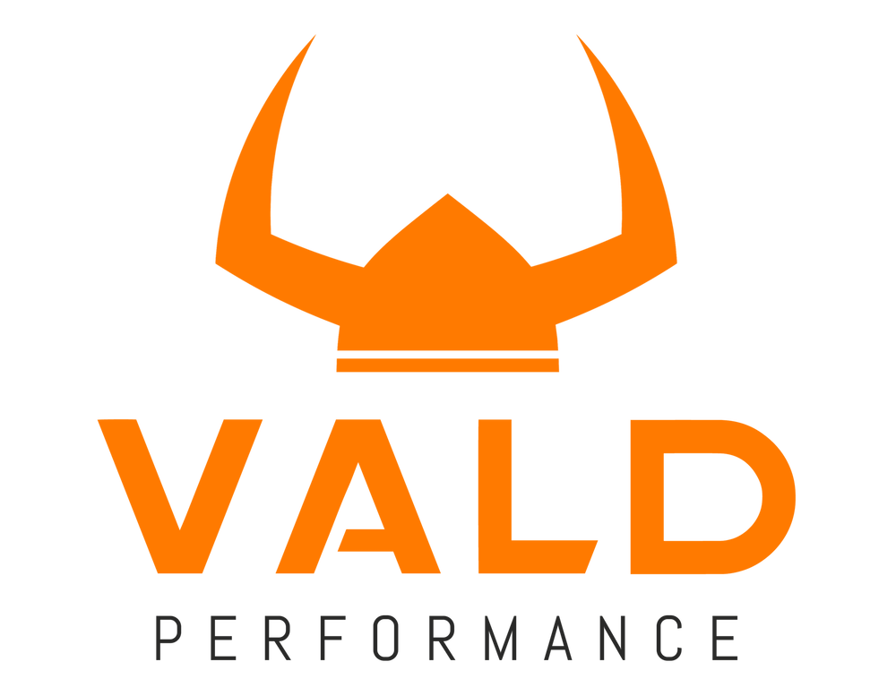 A logo for vald performance with a viking crown