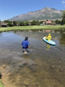 A person in a blue shirt wades into a pond, guiding a small paddleboard with a bright yellow inflatable figure on it.