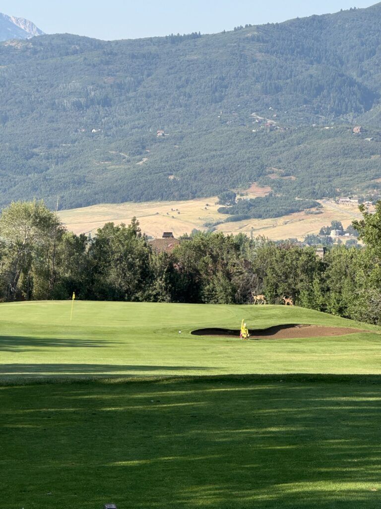 A green golf course with a sand bunker and flags, set against a backdrop of trees and mountains with two deer grazing.