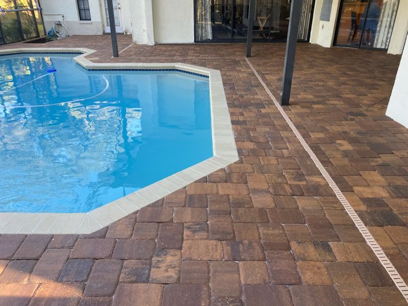 Belgard - Appian in Harvest Blend with Cream coping pool deck in Tampa, FL